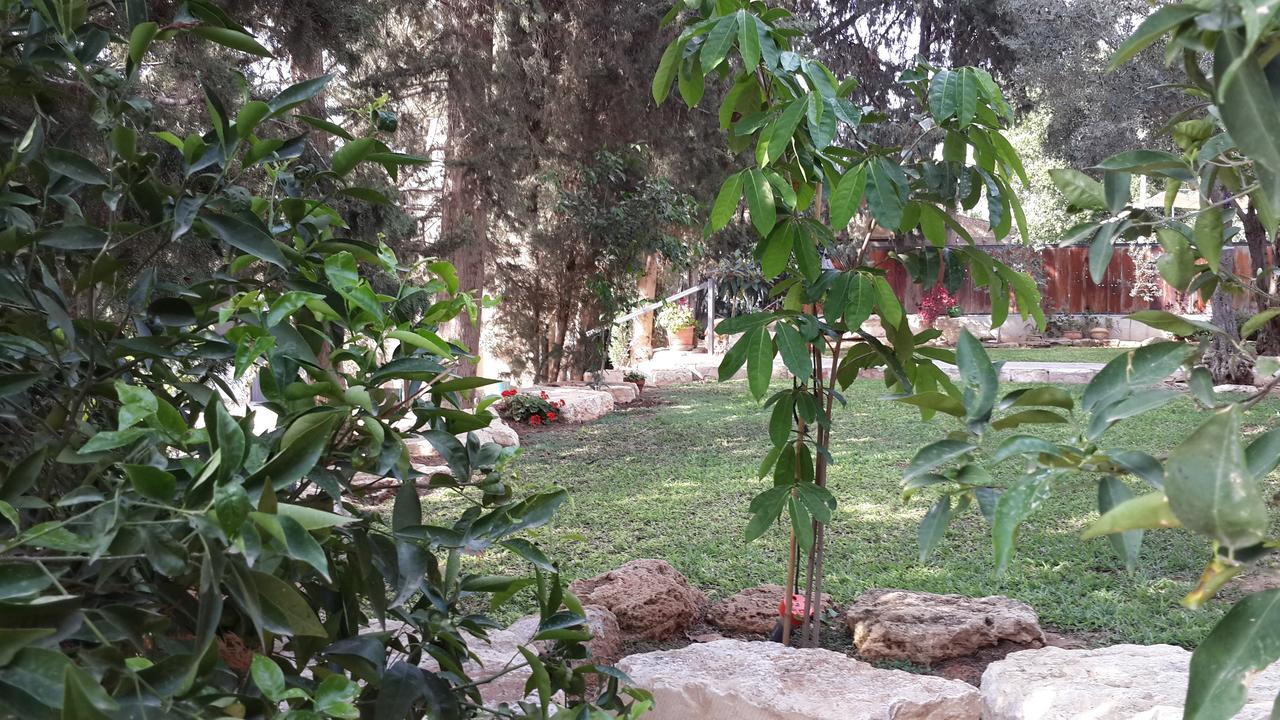 Lisa'S Farm Place Ришон-ле-Цион Экстерьер фото